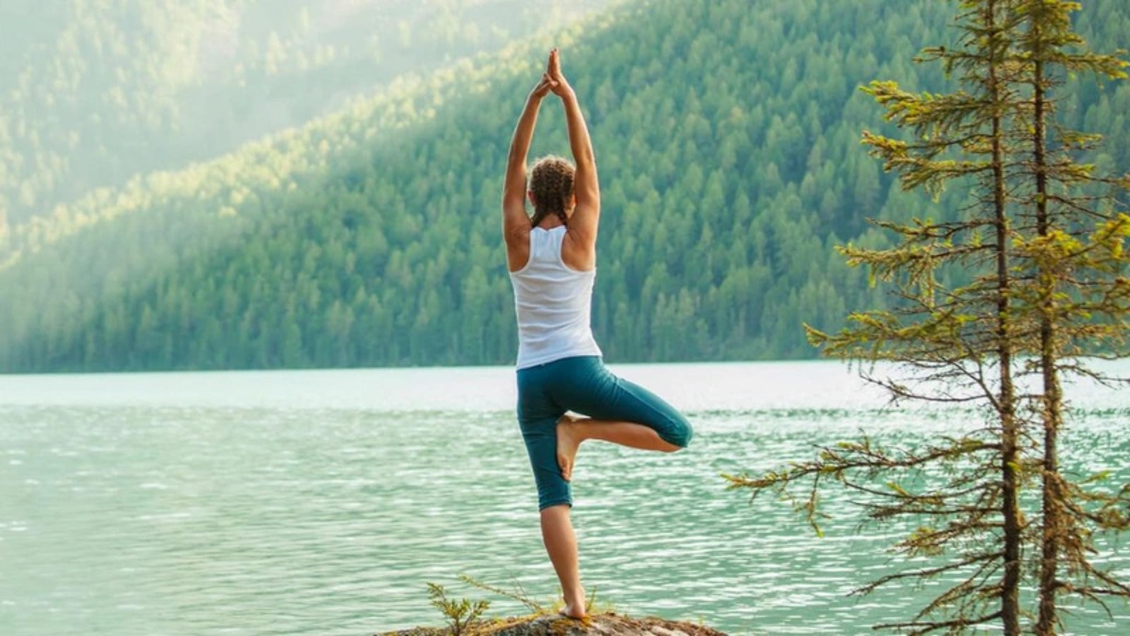 bài tập yoga cơ bản