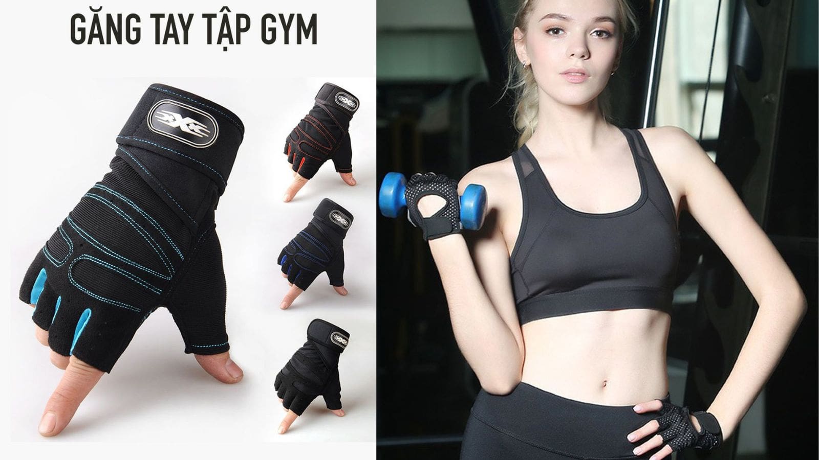 bao tay tập gym