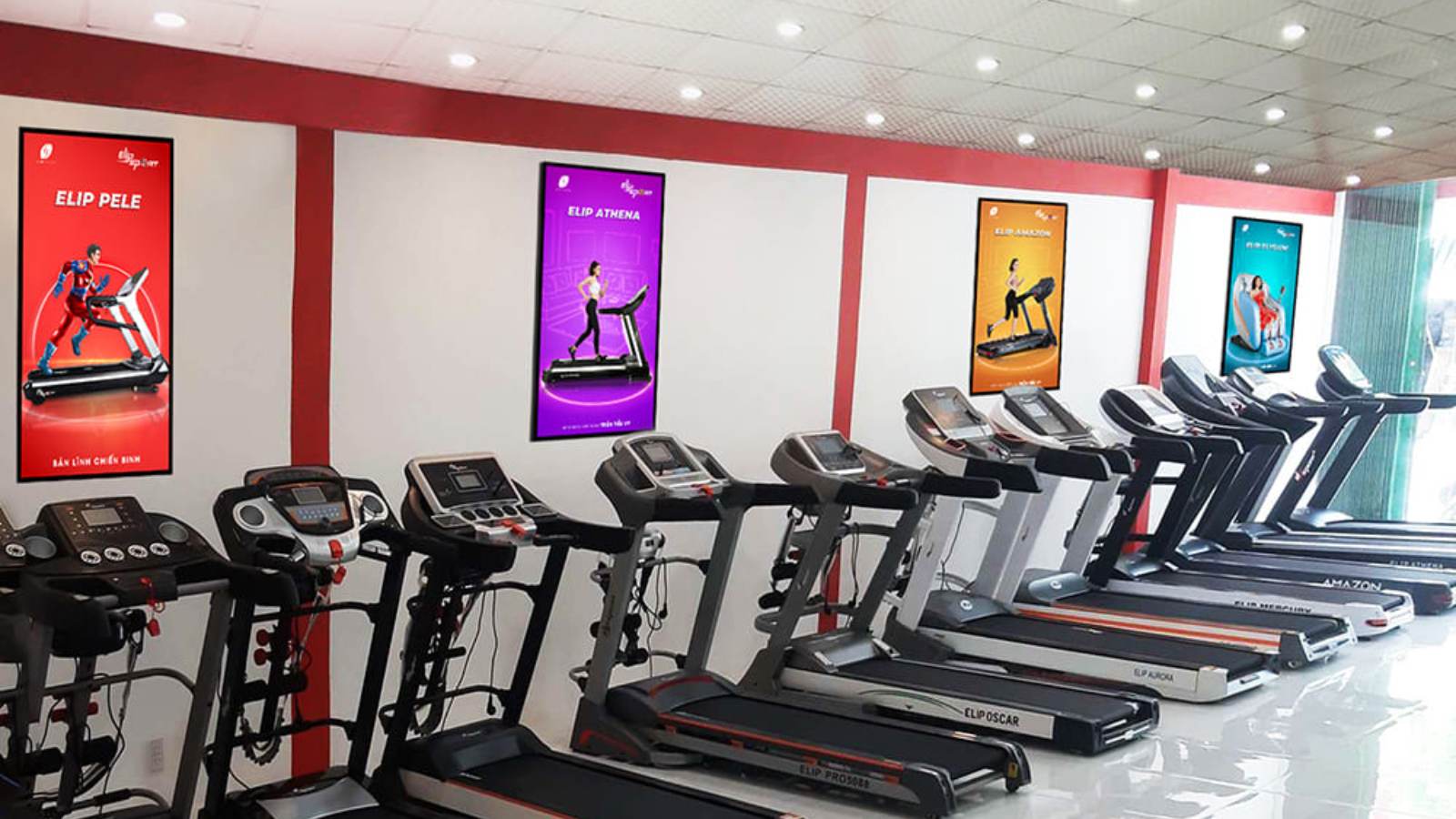 Elipsport Đà Nẵng